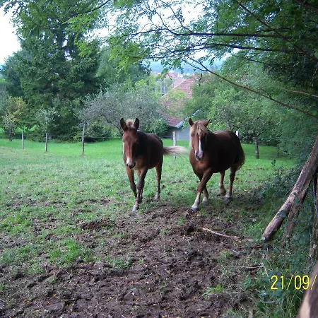 Bed & Breakfast 2 D'hotes Privees Louees Separement Avec Communs A Partager Beaufort (Jura)